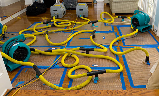 Professional Crawl Space Water Removal technician working in Newcastle, ME